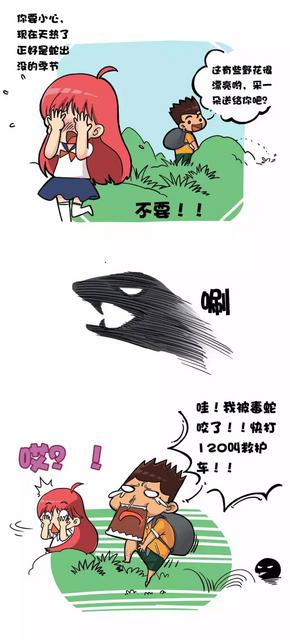 被蛇咬后究竟会不会七步倒 今天终于有答案了