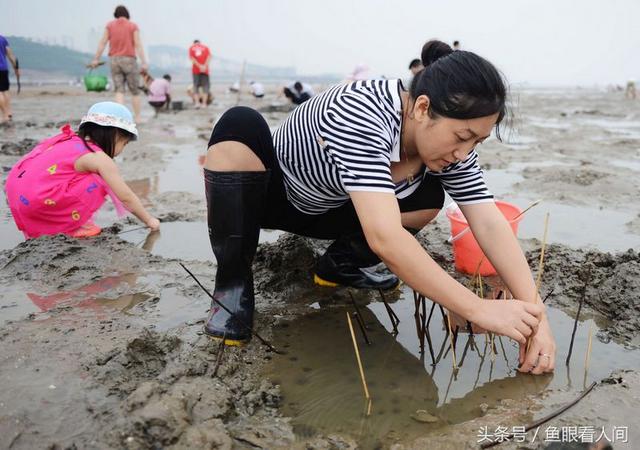 青岛老渔民教你毛笔钓蝼蛄虾 一钓一大筐