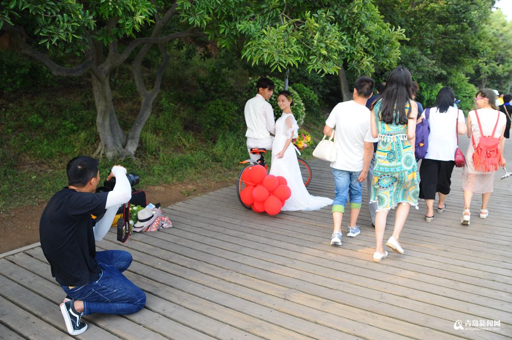 高清：实拍夏日青岛八大关 拍婚纱的新人鼓了