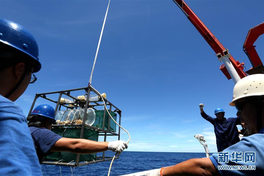 中国科考队在雅浦海沟7000米深渊区捕获狮子鱼