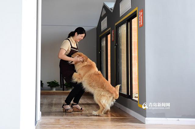 【新青年】80后姐妹花:不当白领开起宠物酒店