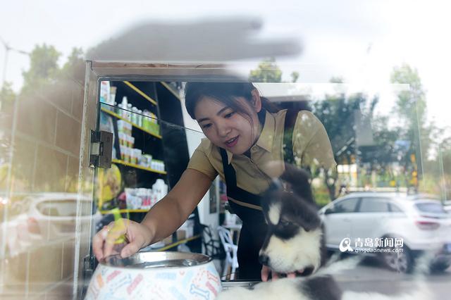 【新青年】80后姐妹花:不当白领开起宠物酒店