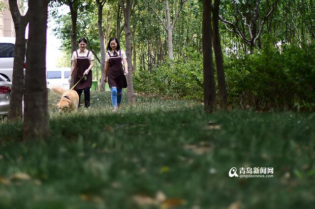 【新青年】80后姐妹花:不当白领开起宠物酒店