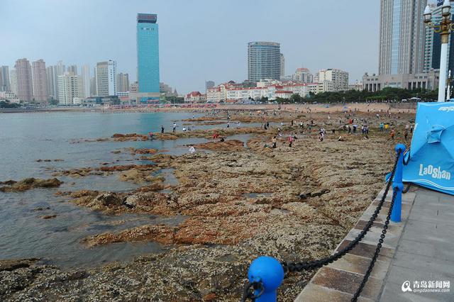 高清:栈桥跌大潮露出壮观礁石阵 游客热闹赶海