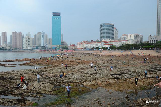 高清:栈桥跌大潮露出壮观礁石阵 游客热闹赶海