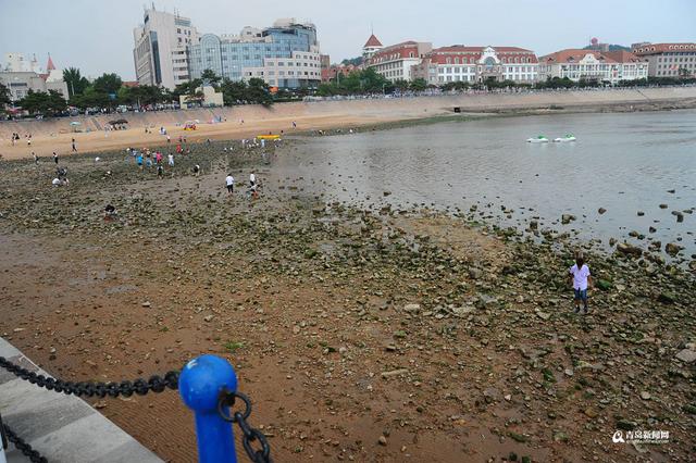 高清:栈桥跌大潮露出壮观礁石阵 游客热闹赶海