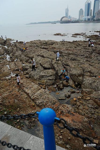高清:栈桥跌大潮露出壮观礁石阵 游客热闹赶海