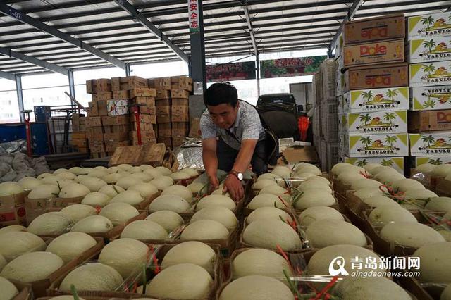 探访北方最大进口水果集散地 年交易额过百亿