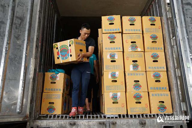 探访北方最大进口水果集散地 年交易额过百亿