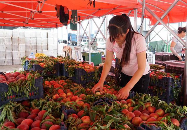 探访北方最大进口水果集散地 年交易额过百亿