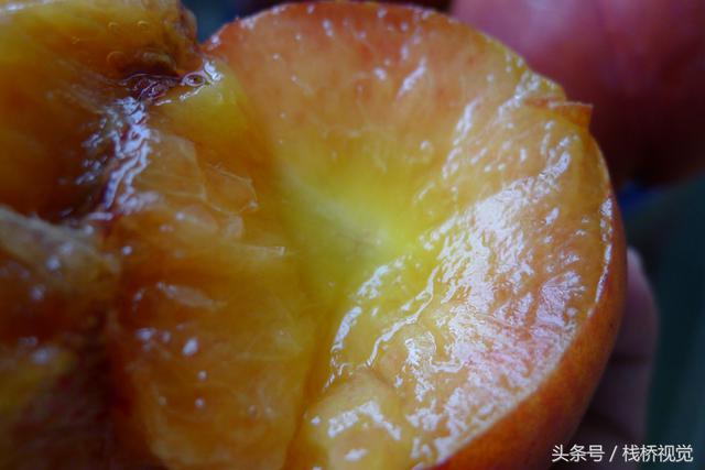 油桃大量上市5块钱2斤 清香可口甜蜜多汁