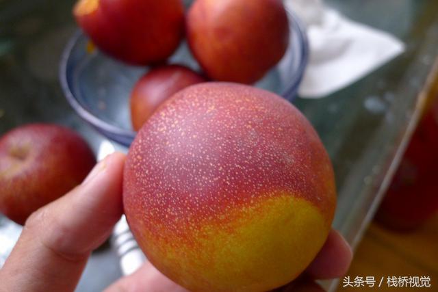 油桃大量上市5块钱2斤 清香可口甜蜜多汁