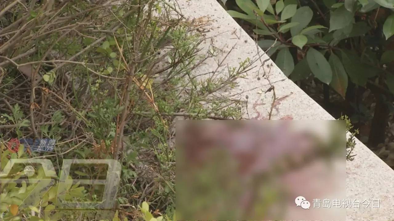 崂山女子患抑郁症楼跳身亡 跳前曾用斧子砍手腕