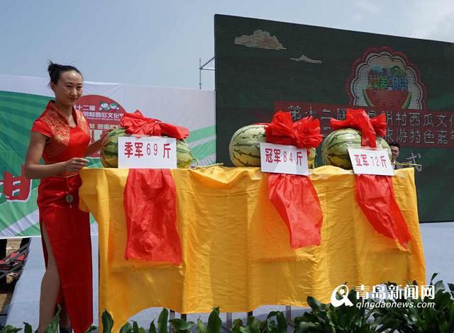 平度农户种出84斤西瓜王 现场传授秘诀(图)