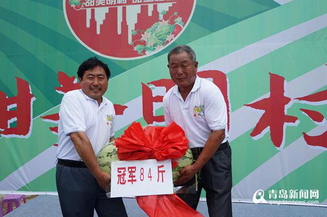 平度农户种出84斤西瓜王 现场传授秘诀(图)