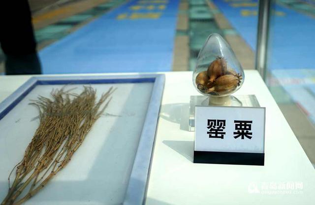 青岛举办禁毒日宣传 新型毒品现场展示
