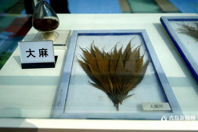 青岛举办禁毒日宣传 新型毒品现场展示
