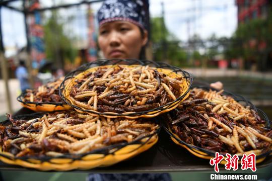 游客丽江5分钟狂吃2斤油炸昆虫 赢得金条(图)