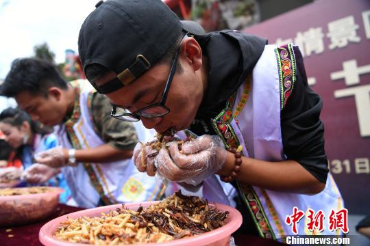 游客丽江5分钟狂吃2斤油炸昆虫 赢得金条(图)