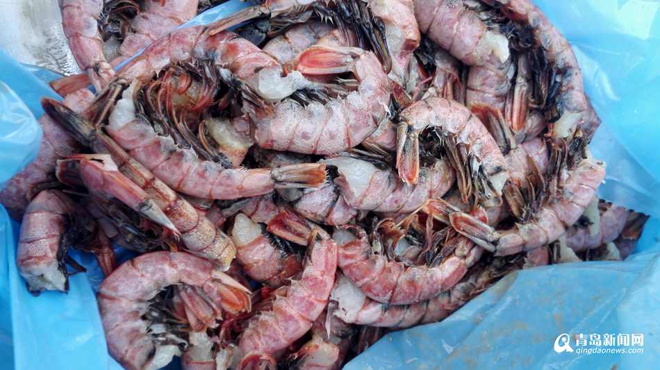 青岛口岸截获近26吨变质红虾 已全部销毁(图)
