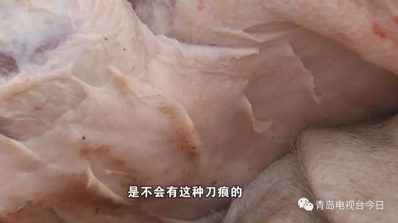 半夜惨叫污血横流 执法人员查处违法屠宰作坊