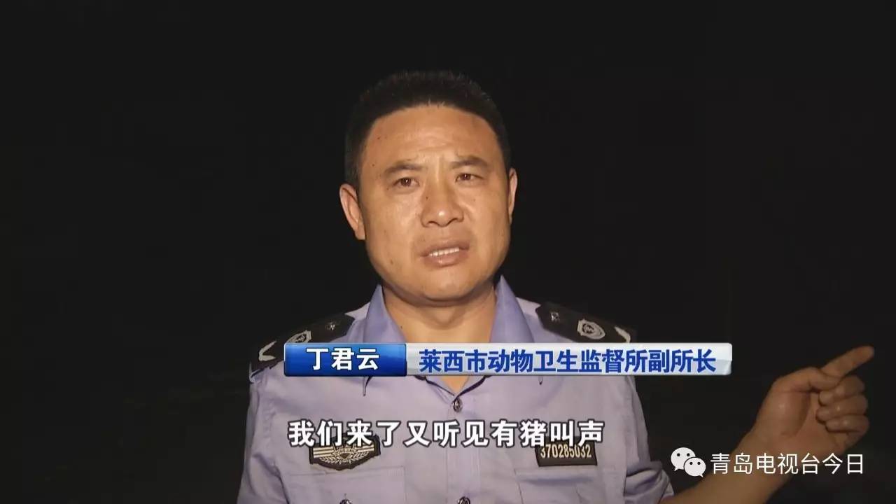 半夜惨叫污血横流 执法人员查处违法屠宰作坊