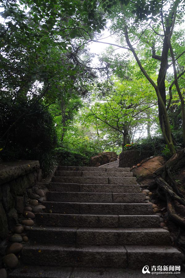 高清：晒信号山夏日美景 小山不高避暑一流