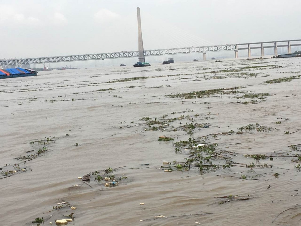 连续降雨后 一船民在江里捞出一堆瓜