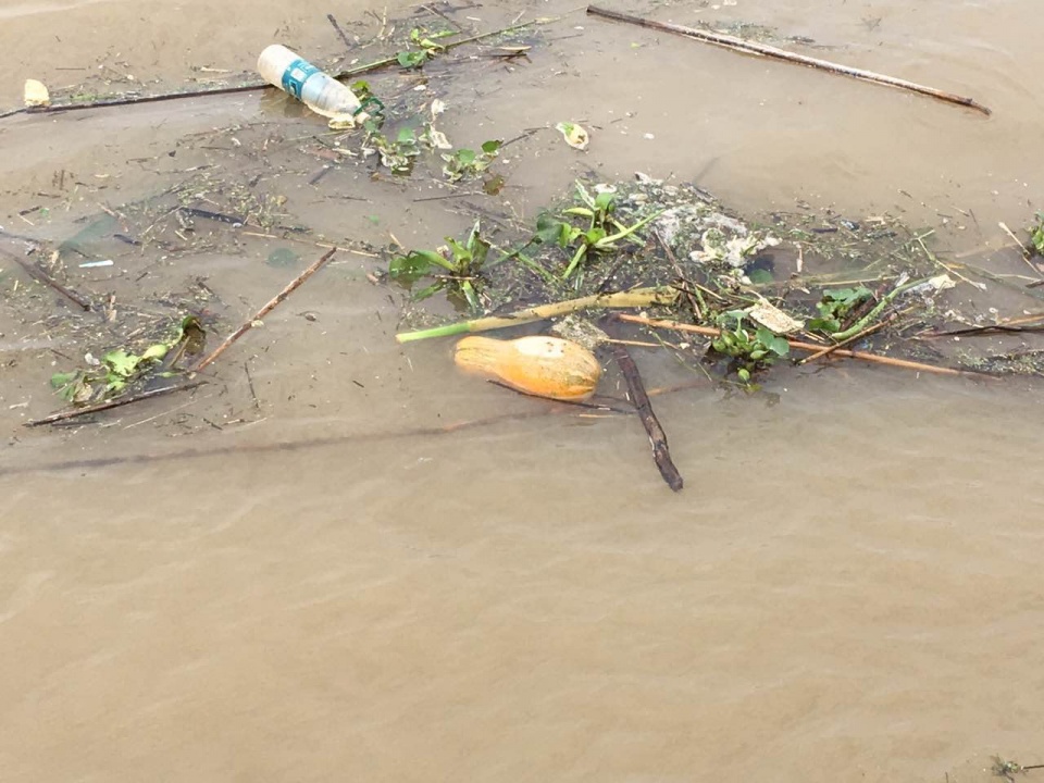 连续降雨后 一船民在江里捞出一堆瓜