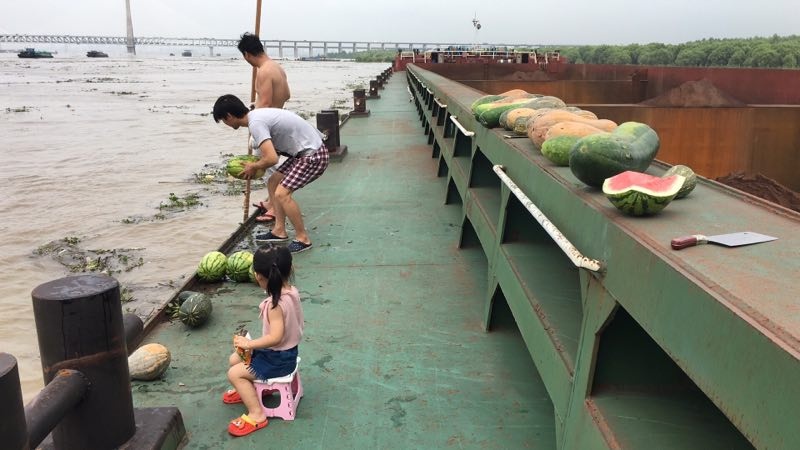 连续降雨后 一船民在江里捞出一堆瓜