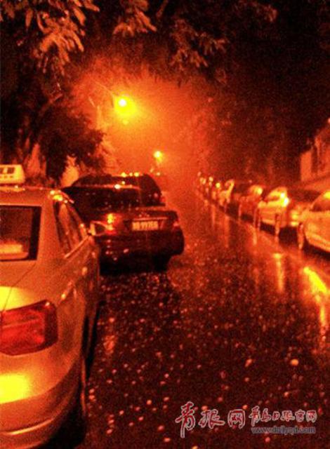 青岛的雨终于等来了 预计今天将持续降水