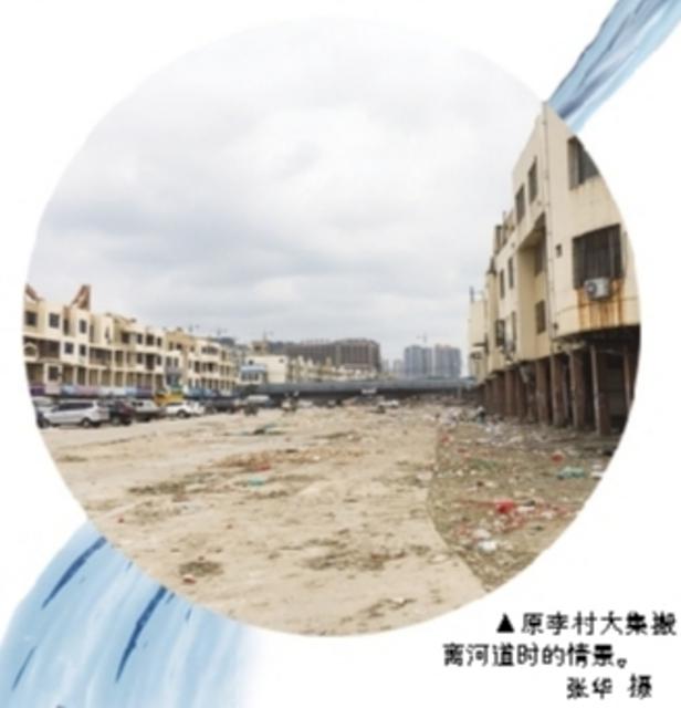 李村河变身最美景观河 白鹭野鸭安家落户