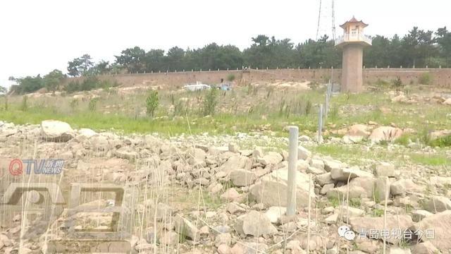 几场雨不解渴 崂山水库距离死库容仅剩1.5米