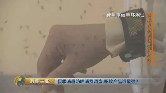 你家的驱蚊产品真有用吗 人肉测试来揭晓