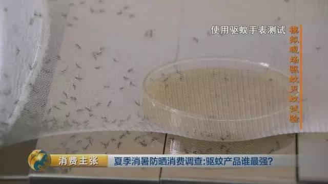 你家的驱蚊产品真有用吗 人肉测试来揭晓
