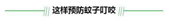 你家的驱蚊产品真有用吗 人肉测试来揭晓