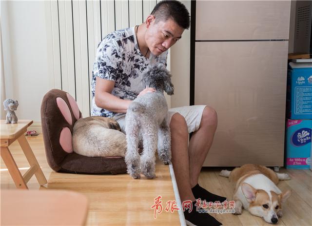 青岛这个咖啡馆有11只“汪星人”