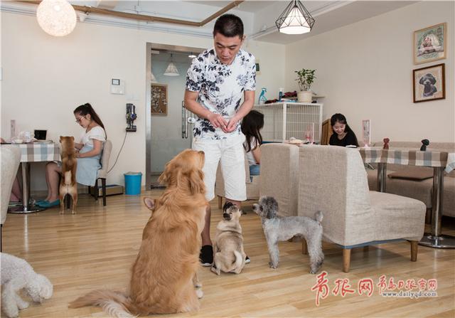 青岛这个咖啡馆有11只“汪星人”