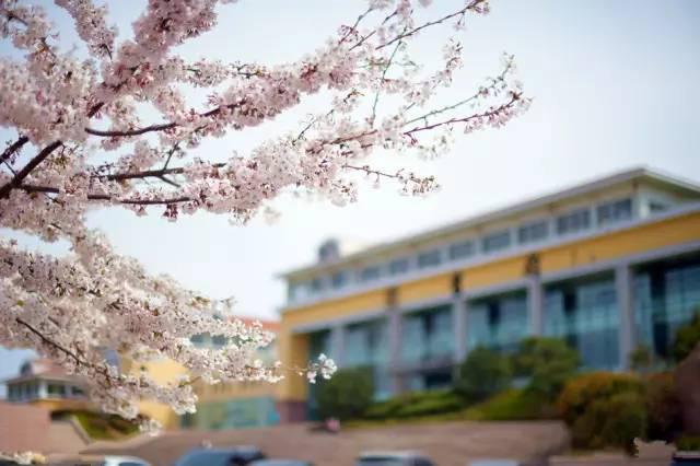 青岛地铁11号线年底开通，去崂山北九水、即墨洗温泉就太方便了！