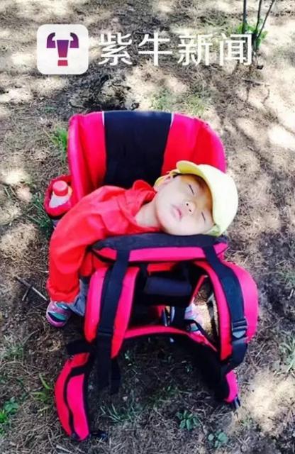 母亲向往诗和远方 背1岁半女儿走遍名山(图)