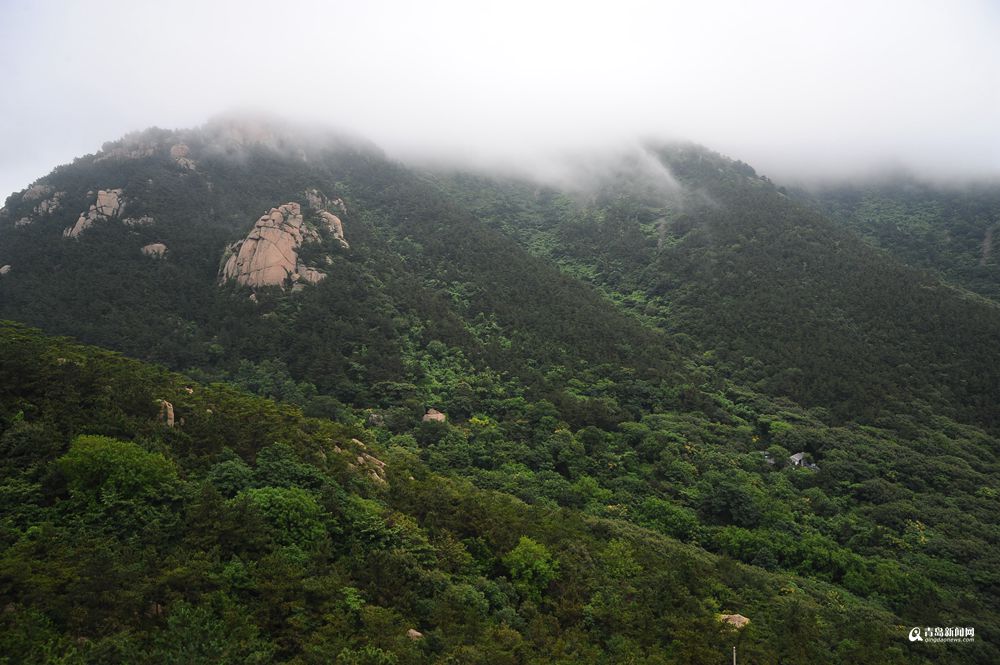 高清:晒仙山圣境云雾美图 雨后崂山爽爽的