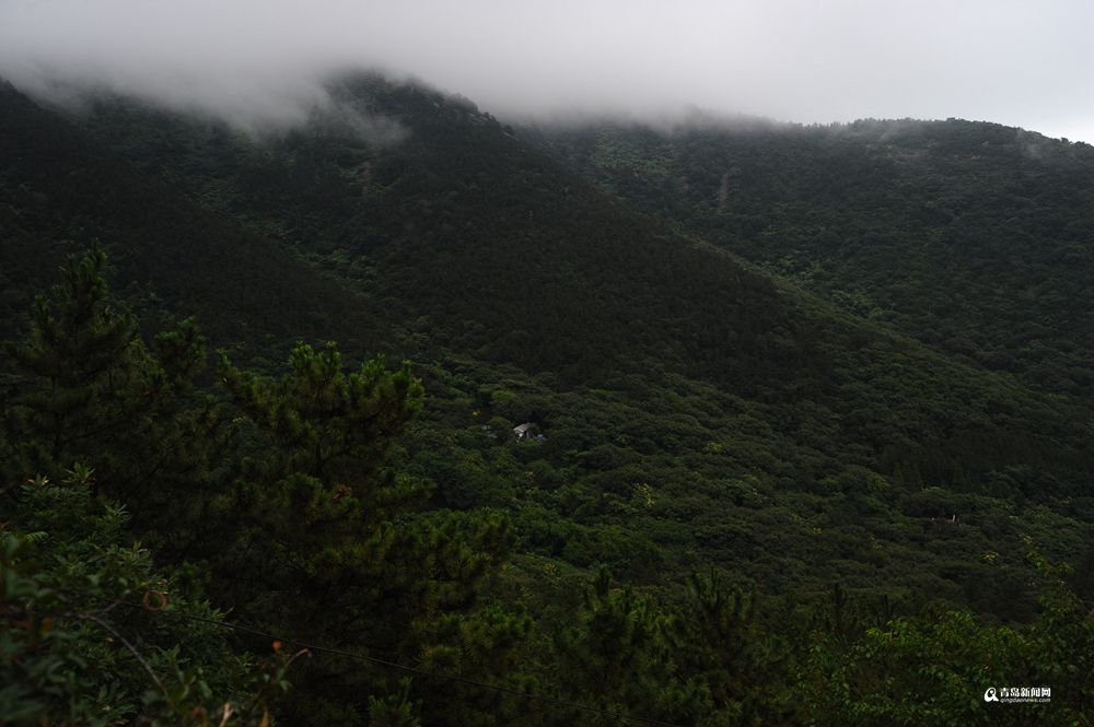 高清:晒仙山圣境云雾美图 雨后崂山爽爽的