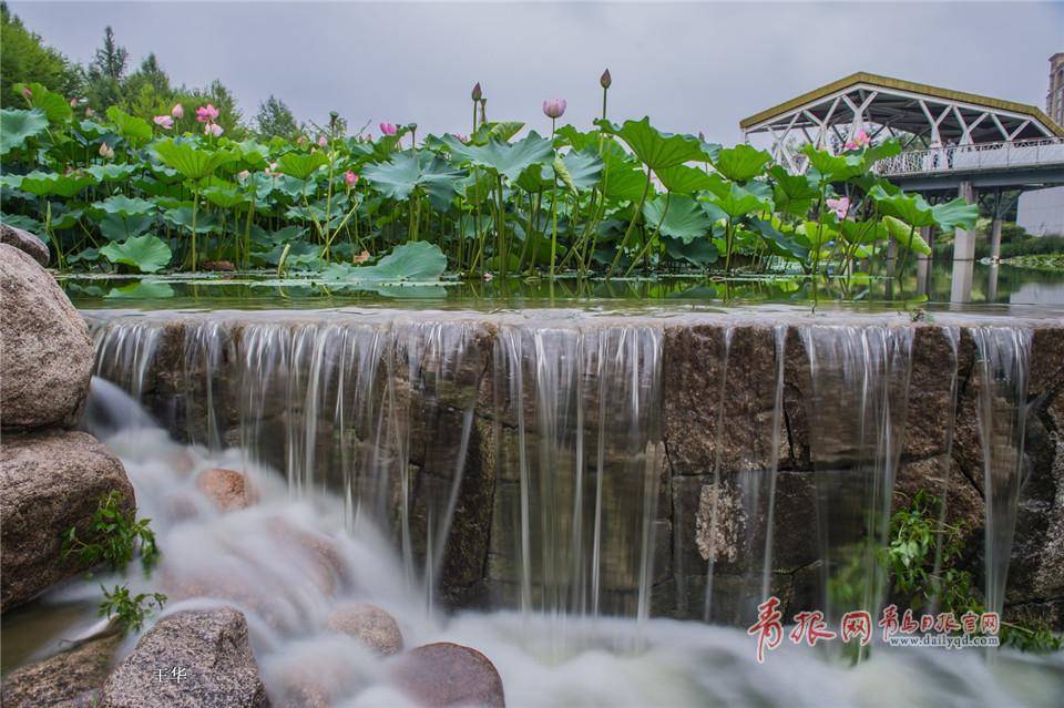 慢门拍雨后李村河：小瀑布曼妙似纱美景怡人