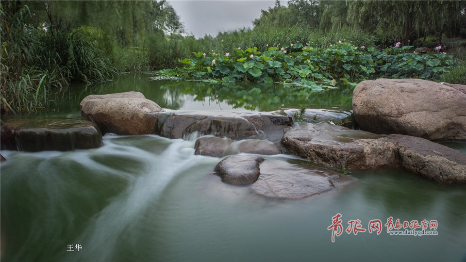 慢门拍雨后李村河：小瀑布曼妙似纱美景怡人