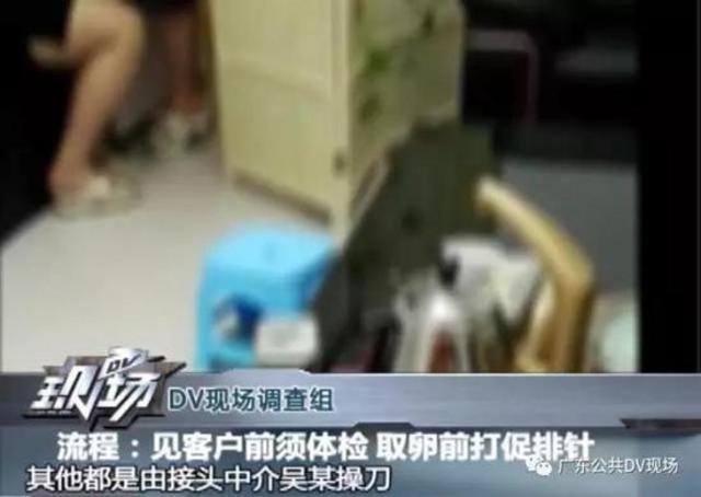 广州卖卵黑市:少女卖卵一次赚1.5万 有人险丢命