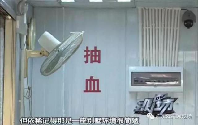 广州卖卵黑市:少女卖卵一次赚1.5万 有人险丢命
