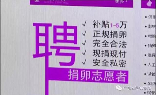 广州卖卵黑市:少女卖卵一次赚1.5万 有人险丢命