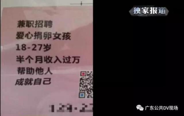 广州卖卵黑市:少女卖卵一次赚1.5万 有人险丢命