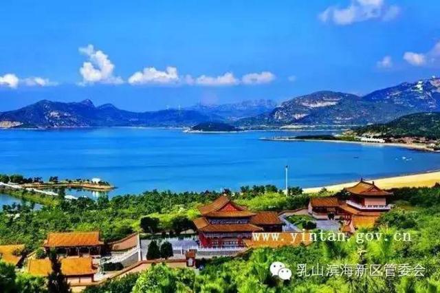 山东哪里人最长寿?青岛人均期望寿命79.83 山东哪里人最长寿?青岛人均期望寿命79.83