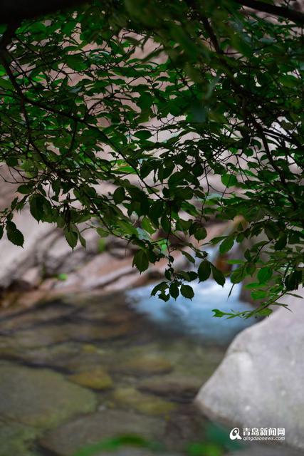 高清:北九水重现水声淙淙 龙吟瀑恢复壮观飞流